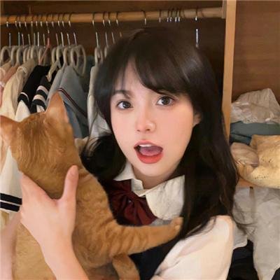 与森林共舞