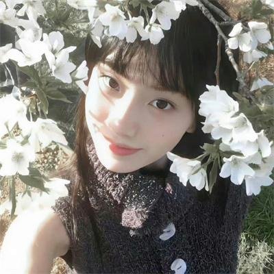守护猫娘绯鞠